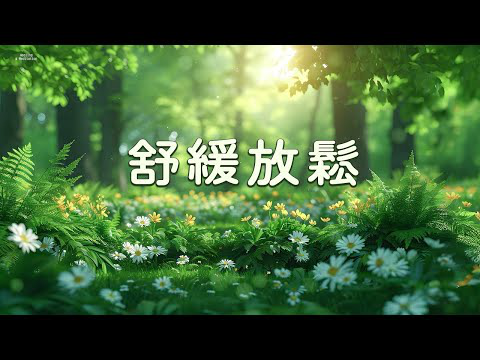 【100% 無廣告 - 輕音樂 放鬆 】清晨滲透到靈魂的寧靜 ♫♫♫ 舒緩放鬆的輕音樂療癒放鬆，舒緩舒緩，純淨動聽，早上最適合聽的，深度睡眠